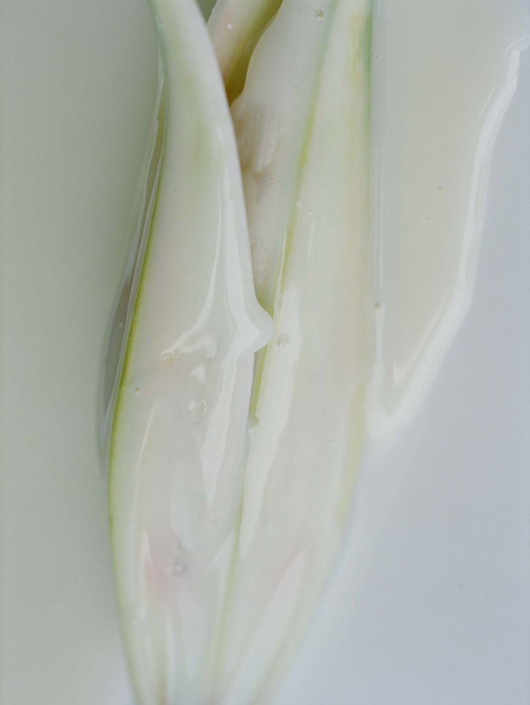 POSTER FROM UNTITLED (EPHEMERAL STUDY 1)