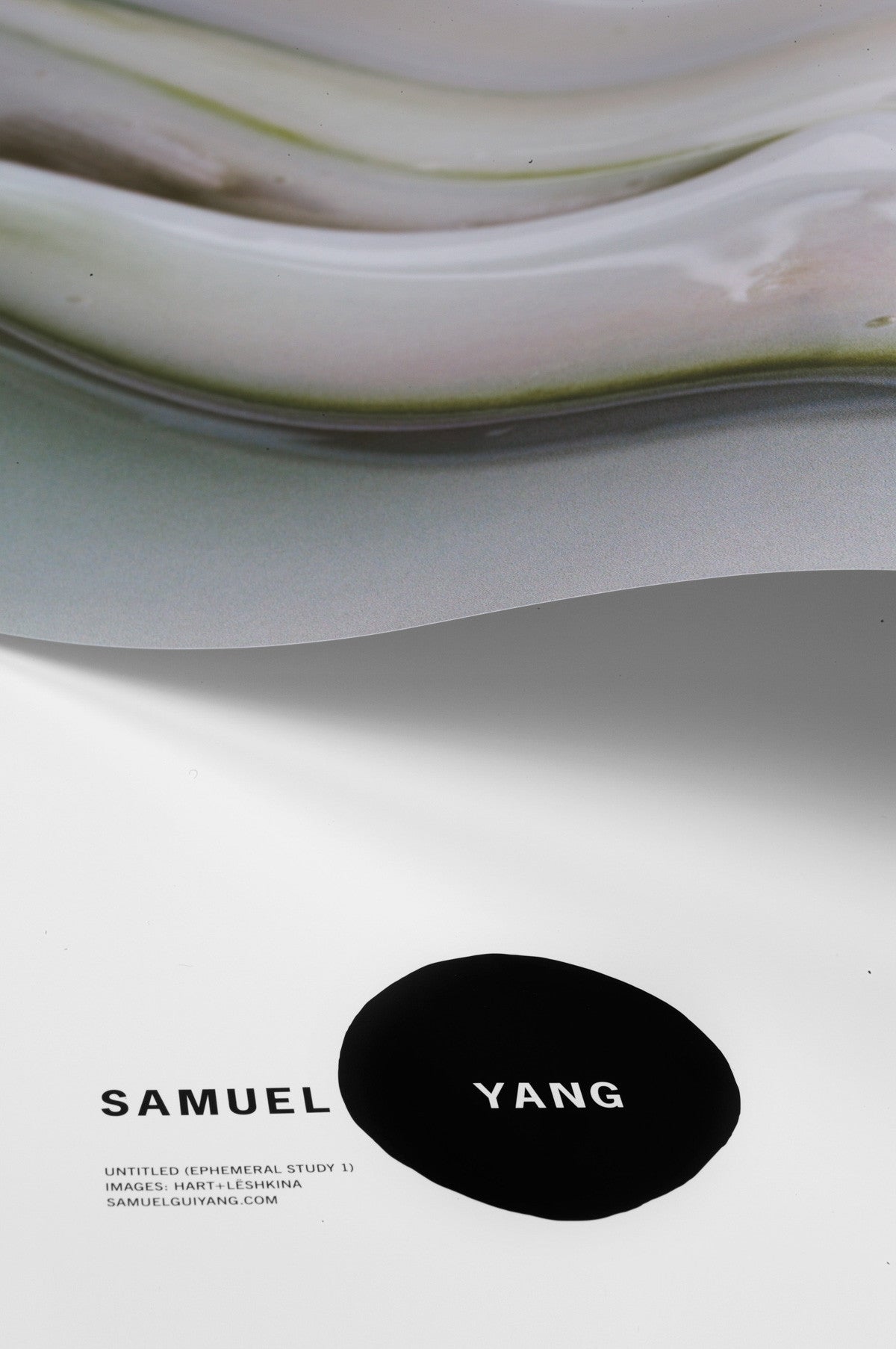 POSTER FROM UNTITLED (EPHEMERAL STUDY 1)