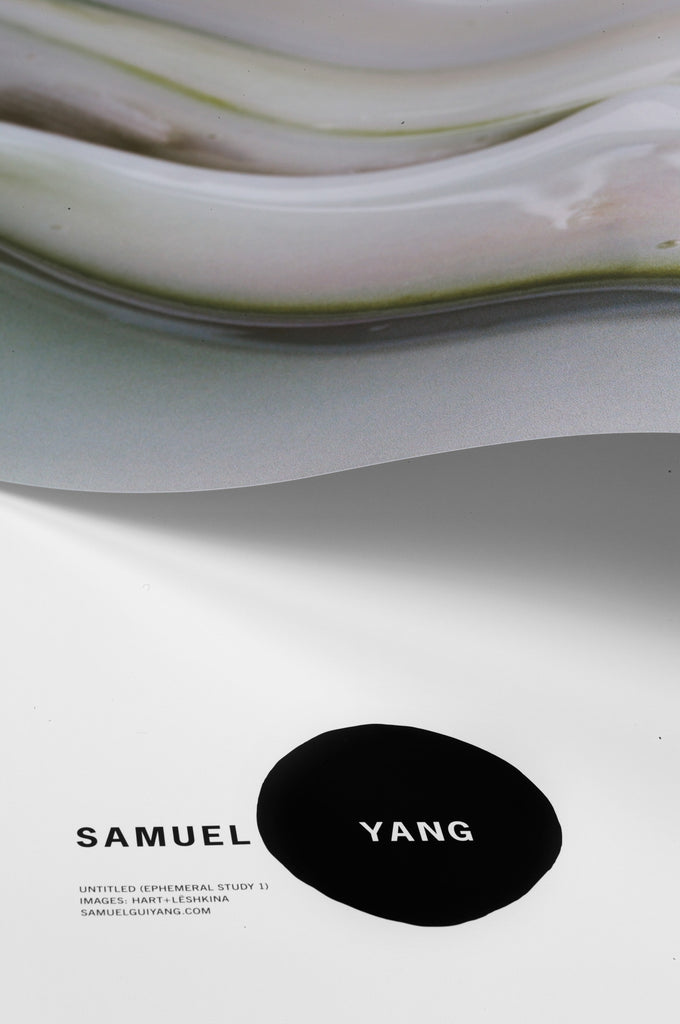 POSTER FROM UNTITLED (EPHEMERAL STUDY 1)